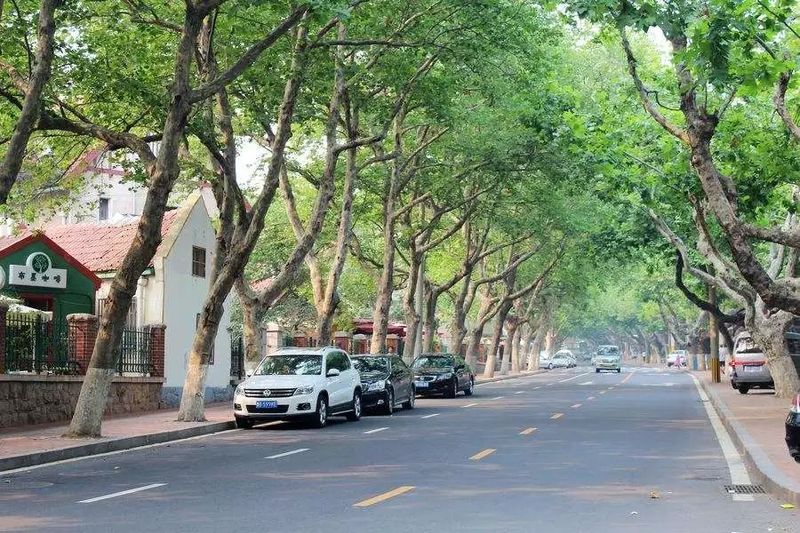 青島汾陽路最新動態(tài)，道路變遷與人生勵志之旅
