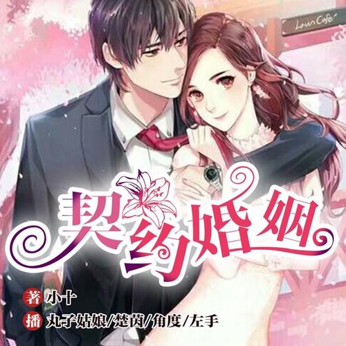 契婚最新章節(jié)列表，自然美景探索之旅的浪漫篇章