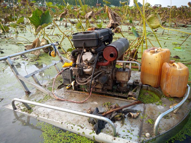 最新電動機挖藕機探索，小巷深處的挖藕秘境