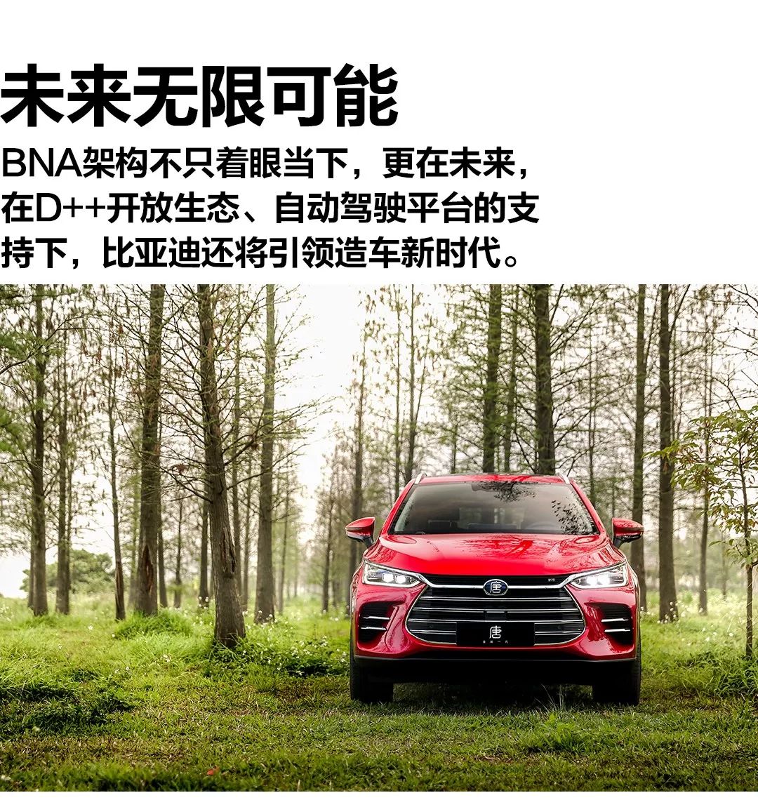 爆款現(xiàn)象深度解析，探究其影響與趨勢