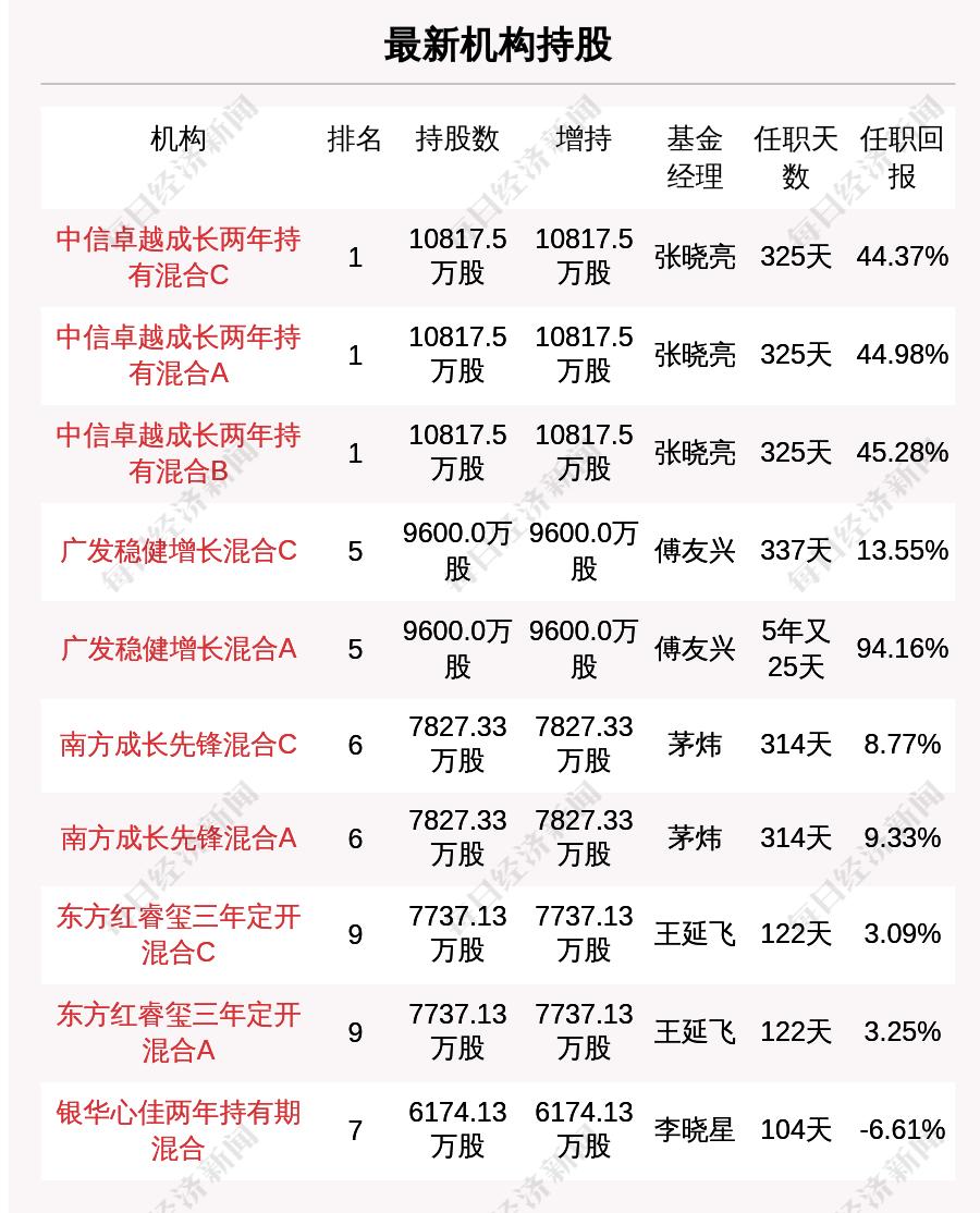 社?；鹬貍}股，心靈與自然的美麗交匯