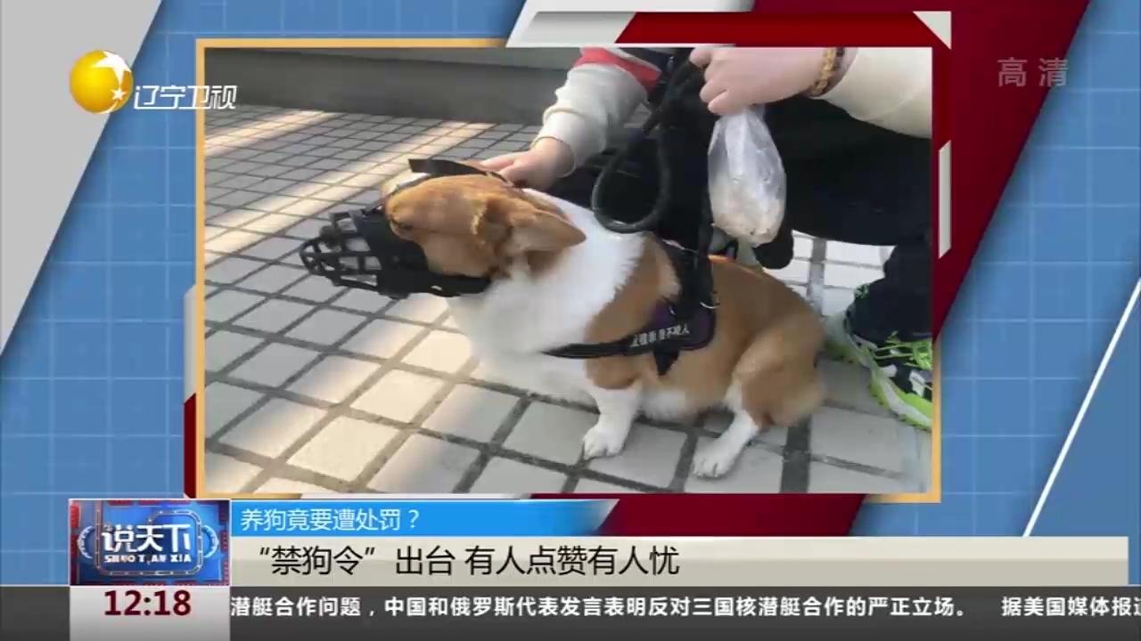 最新禁犬令及科技產(chǎn)品介紹概述